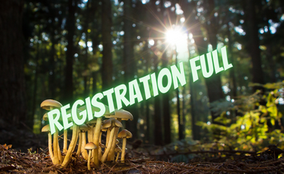 Image of mushrooms in a forest with a Registration Full notice
